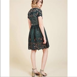 Eliza J Short Sleeve Lace Mini Cocktail Dress Green
